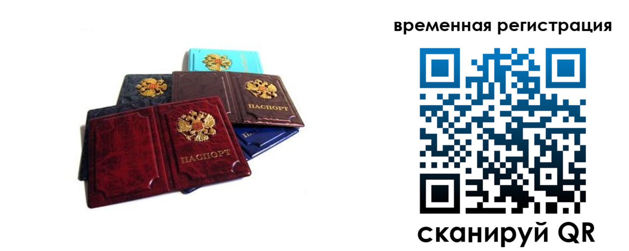 прописка гарантия в Сочи